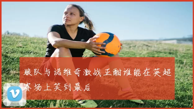 狼队与诺维奇激战正酣谁能在英超赛场上笑到最后