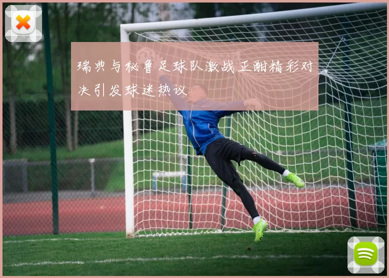 瑞典与秘鲁足球队激战正酣精彩对决引发球迷热议