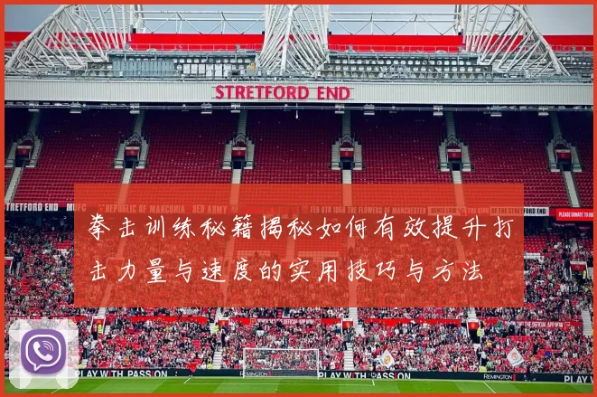 拳击训练秘籍揭秘如何有效提升打击力量与速度的实用技巧与方法